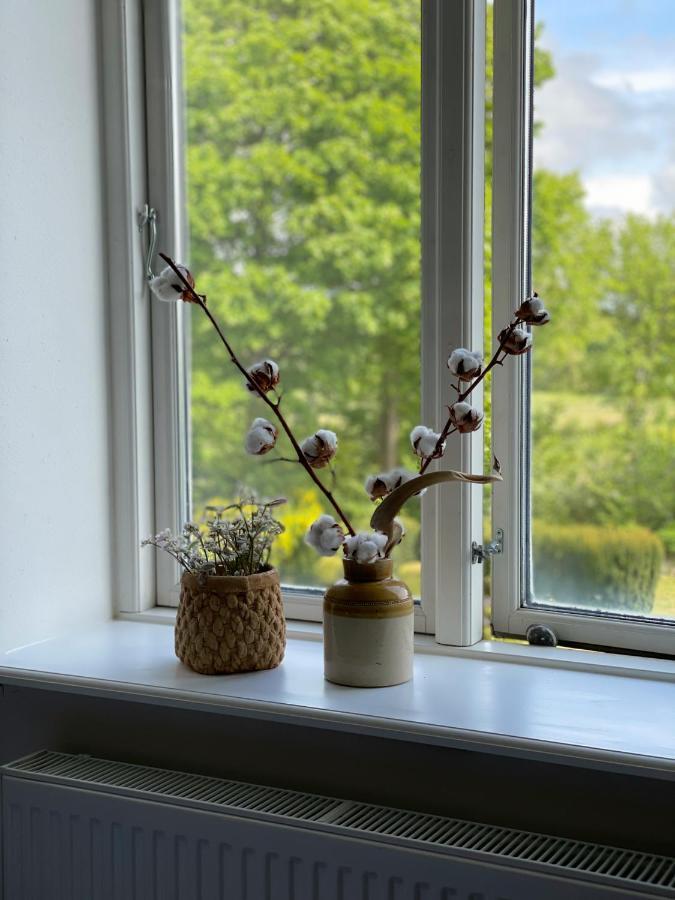 Dobbelt Vaerelse Carlsminde Apartment Stenstrup ภายนอก รูปภาพ